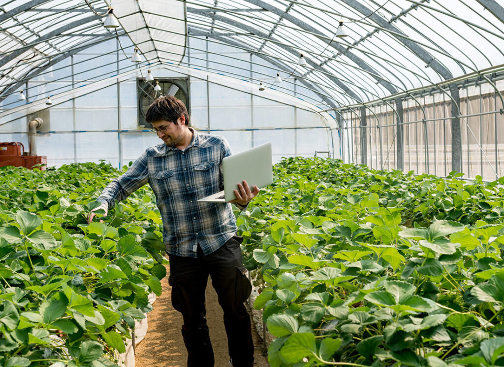 Green House Worker Jobs in Canada